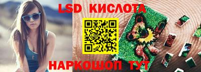 индика Пенза