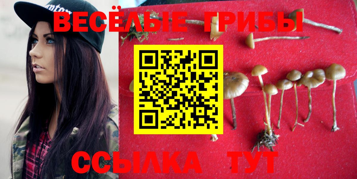 Псилоцибиновые грибы Psilocybe Скопин